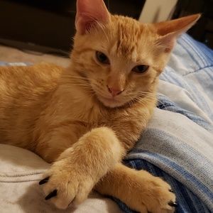 Meet your Posher, Jackie